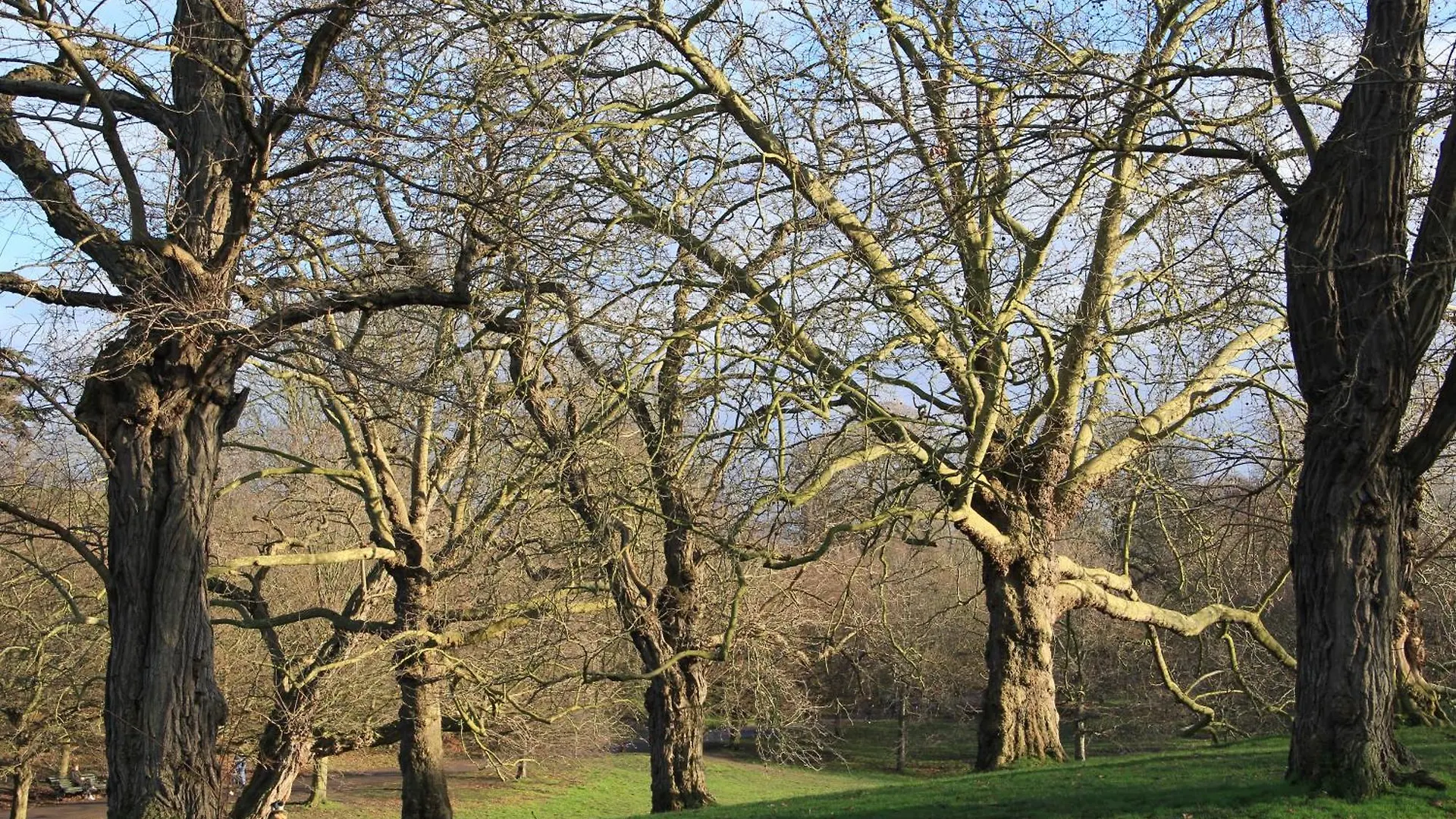Hill House Second Bed and Breakfast London